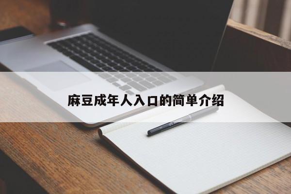 麻豆成年人入口的简单介绍